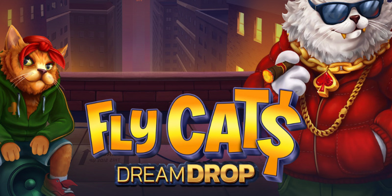 Честный обзор Fly Cats Dream Drop: Коты на стиле и жирный джекпот