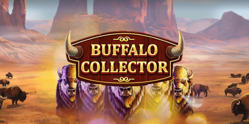 Честный обзор Buffalo Collector: Буйволы, Коллекции и Чего ждать