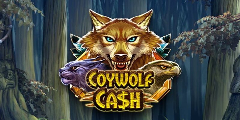 Честный обзор Coywolf Cash: Койволк и твои деньги