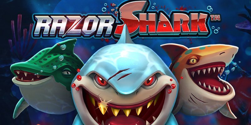 Честный обзор Razor Shark: Акулы, рифы и большие деньги